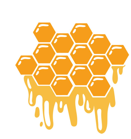 Honey Colourful Vinyl Sticker Decals N222 | eBay UK